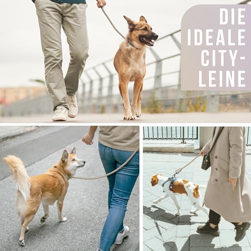 ne&no Tauleine 1.7m (leicht dehnbar) für mittelgroße bis ganz große Hunde I Trainingsleine I Hundeleine robust I Führleine rund, geflochten I Seil Leine Hund I Cityleine I Dog Leash Taupe, 170 cm
