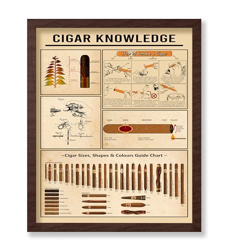 Monem Art Cigar Knowledge Poster - Cigar Sizes, Shapes & Colors Guide Print - Infographic Art - Cigarette Art - Educational Art - Typography Art - Great Living Room Decor - 16x20 Brown Framed