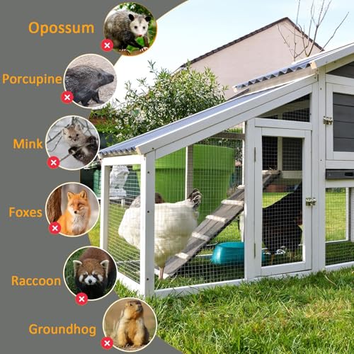 Malla de alambre soldada de acero inoxidable – 1/2 pulgada para gallineros, tela resistente, valla de aves de corral, rollo de red duradero (1 m x 8 m)