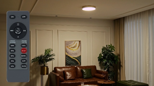 Image of Flush Mount Ceiling Light Fixtures Gold LED Dimmable 5CCT 15 Inch 36W