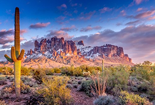 Yeele 10x8ft Superstition Mountains Backdrop Nature Landscape Plant Cactus Hiking Background for Photography Southwest Tourism Baby Girl Boy Photo Video Shoot Vinyl Studio Props