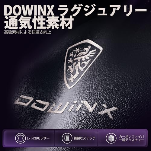 Dowinx ゲーミングチェア LS-6689L01B の商品画像 7