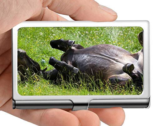 Professional Business Card Holder Stainless Steel,Animal Pasture Field Grass Credit Card ID Case/Holder/Cards Case