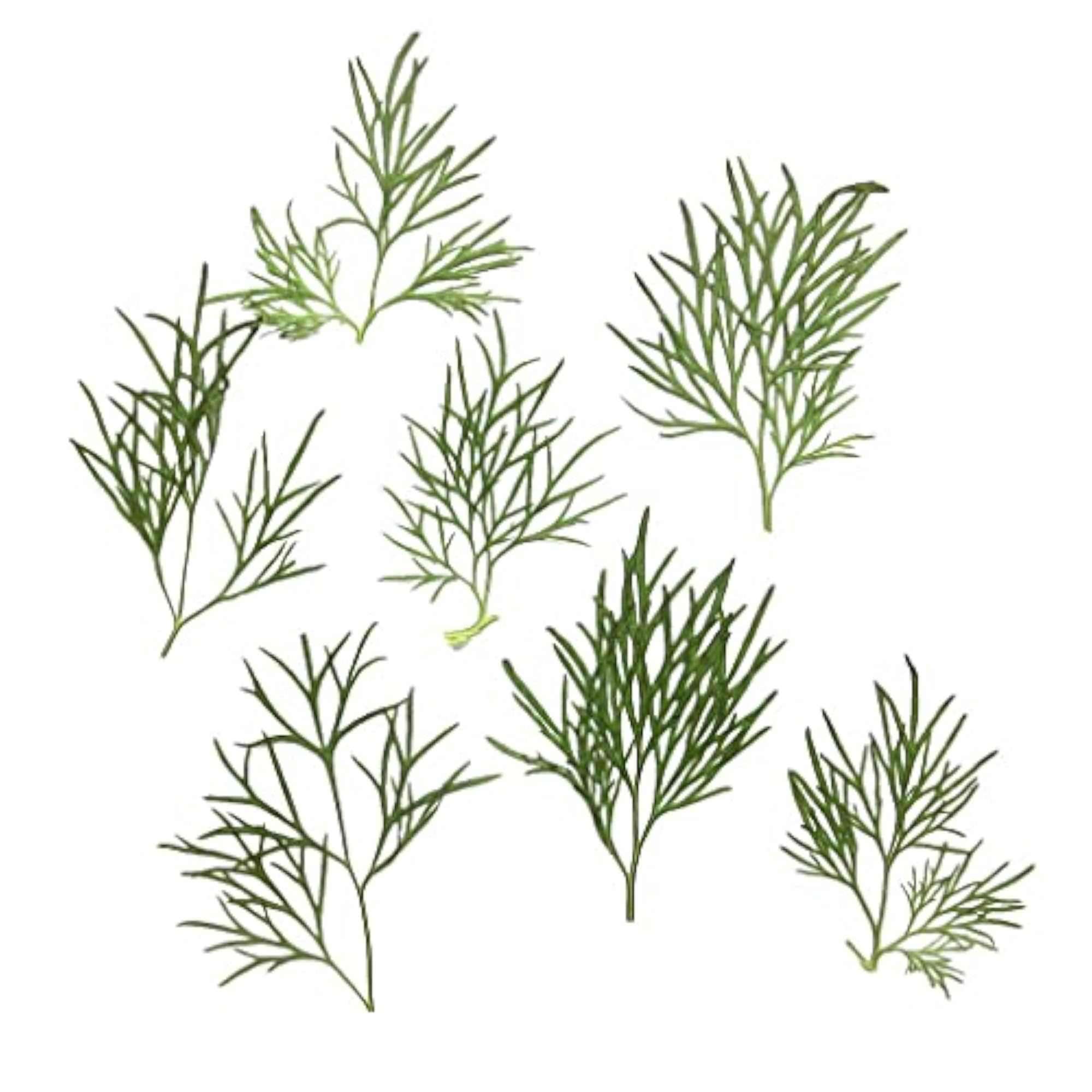 Pressed Dried Flower Dry Leaves for DIY Crafts, 6x10x