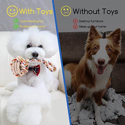 Nobleza Hundespielzeug unzerstörbares 2 Pack, 100% natürliche Baumwolle Seil Hundespielzeug - interaktives Tauziehspielzeug für Welpen - Dog Rope Toy - welpenspielzeug - Hundekauspielzeug - 20 cm