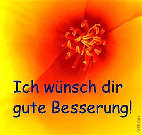Amazon.co.jp: Ich wuensch dir gute Besserung! : 本