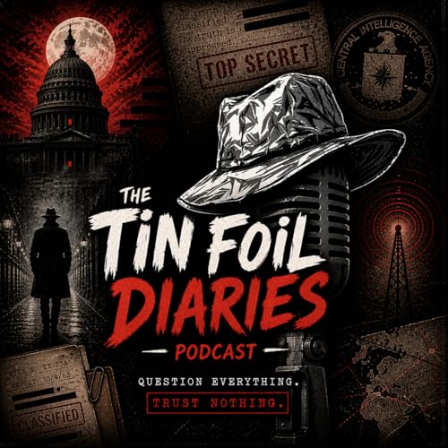 The Tin Foil Diaries cover art