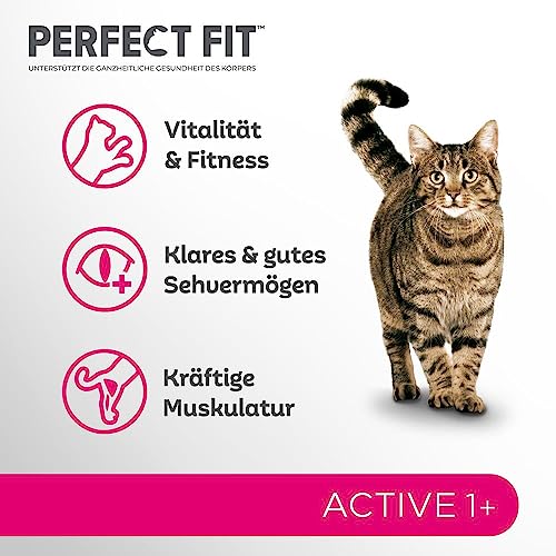 PERFECT FIT Adult Trockenfutter für erwachsene, aktive Katzen ab 1 Jahr - Rind, 750g (6 Beutel)