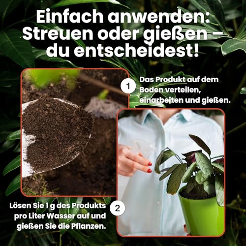 LERAVA® – Eisenchelat Dünger (800g) – Eisendünger für Pflanzen | Hortensien Dünger Eisen – Wirkt gegen Chlorose & Blattvergilbung – Kräftiges Blattgrün & sichtbarer Effekt nach wenigen Tagen 4