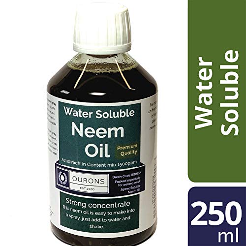 Aceite de neem soluble en agua