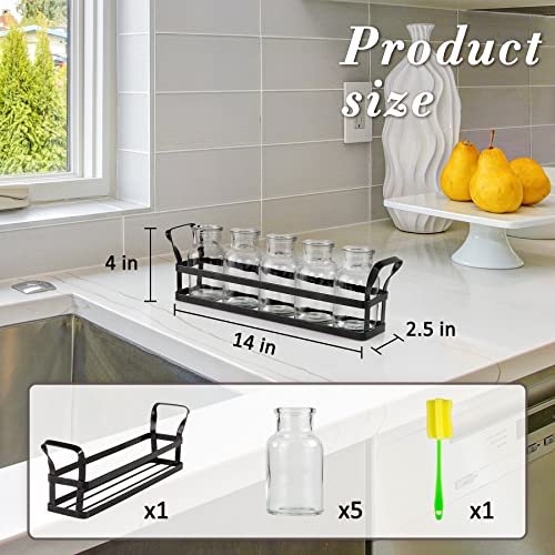 Propagation Stations Indoor Decor Plants Propagation Station With Stainless Steel Stand, Propogation Planters Glass With 5 Air Plant Terrarium For House Plants Hydroponic Home Garden Office Decoration #TOP2