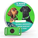 Fursure Pendant for Dogs-Fursure Natural Flea& Tick Pendant 2.0, Effective Dog Fleas & Ticks Collar (Green)