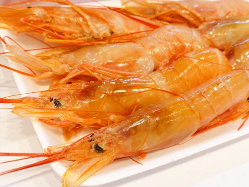 Ԃ 2kg 20-40 L-1 ԃGr ԊCV  AJGr  Gr CV hg i aap o[xL[ yYt[Yz
