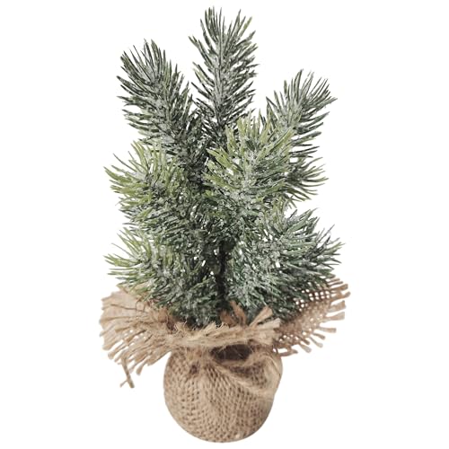 Northlight Frosted Mini Pine Tree Christmas Decoration with Burlap Base
