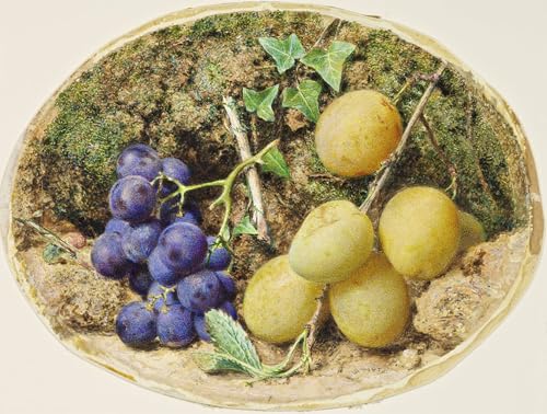 POSTERIIk Vintage Art Mural Classique Impression Tableaux Prunes dorées et raisins noirs par William Henry Hunt Impression Peinture Huile Pour la Décoration...