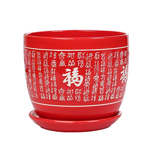 Maceta de cerámica roja grande para suculentas con bandeja, ideal para decorar tu salón