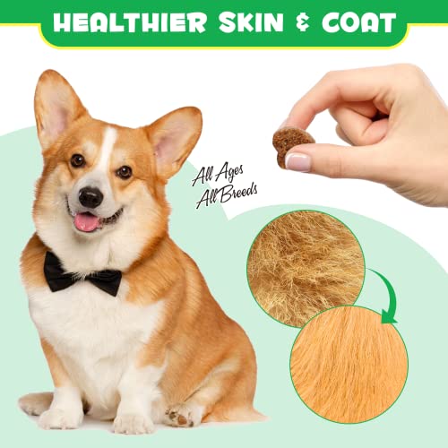Probiotiques pour Chiens, probiotiques pour Chiens, enzymes digestives, santé intestinale, démangeaisons cutanées, Allergies, système immunitaire et Soutien à la santé Globale, 120 à mâcher – Image 6