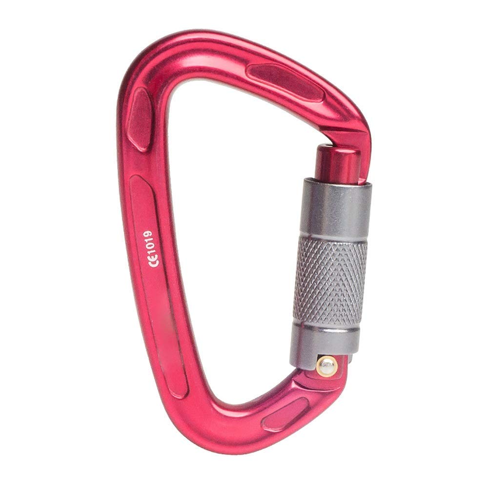 Mosquetón Grande, Gancho de Clip, 2 Paquetes de Anilla en D de aleación de Aluminio de Alta Resistencia, mosquetón Grande automático, Gancho de Clip para Llavero, superduradero (Plata, 99 x 58 mm)