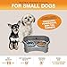 Neater Pet Brands Neater Feeder Deluxe Mess Proof Dog Bowls Elevated for Small Dogs Under 19 lbs, Made in USA, No Spill Raised Dog Food Bowl Stand Feeding Station, Food and Water Bowl Set, Grey