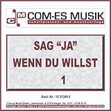 Com-Es Musik Schallplatten GmbH
