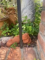 Customer Image, click to open customer review