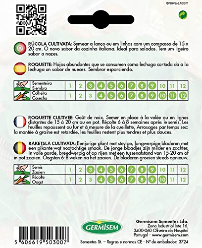 Germisem EC7001 Rucola Cultivata Rucola Zaden 8 g - Afbeelding 3