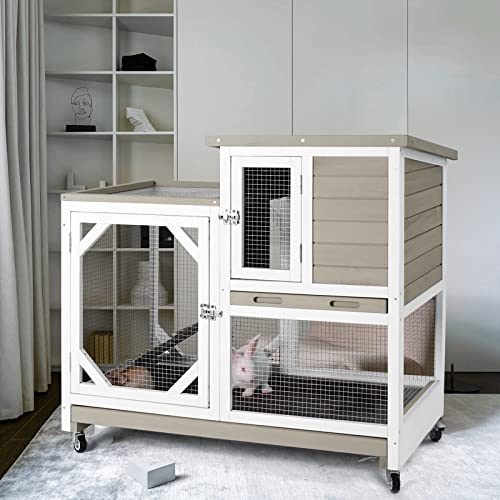 Top 10 Indoor Rabbit Cage Setup of 2022 Katynel