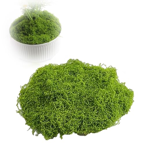 arrderly 60 g kunstmos, decoratief mos om te knutselen, herbruikbare mosbladeren, kunstmos om te decoreren, kunstmos, decoratie voor muur, aquarium, modelbouw