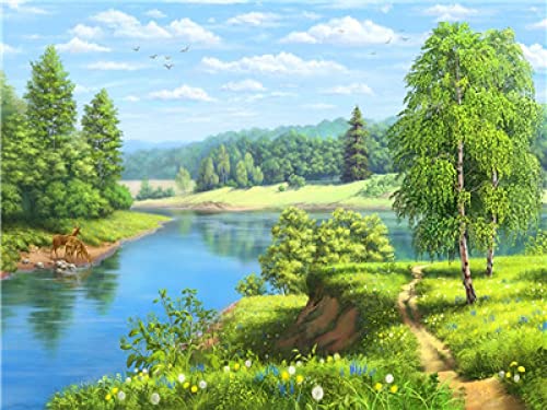Peinture au diamant 5D herbe au bord de la rivière kit d'art complet 30x40cm pour adultes