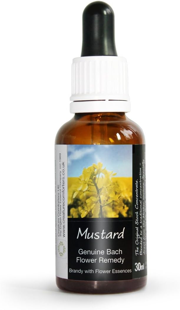 Mustard Bach Flower Remedy Large 30ml. Genuine Traditionally Made Essence