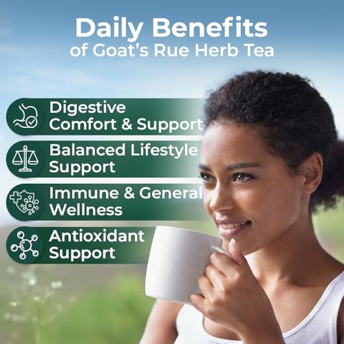 Image of 20 Bags Goat'S Rue Goat'S Goats Rue Herb Tea (Galega Officinalis L.) - 20 Count 1.5 g Tea Bags Blood Sugar French Lilac Ruda De Cabra