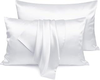 LULUSILK White Silk Pillow Cases 2 Pack with Hidden Zipper, 100 Pure Mulberry Silk Pillowcases for Hair and Skin, Queen Size