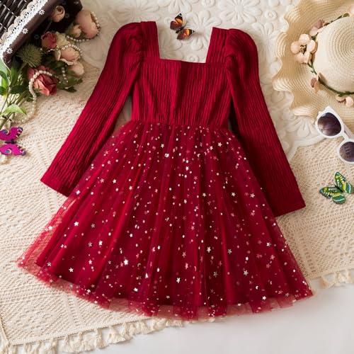 TTYAOVO Little Girls Long Sleeves Casual Birthday Dress with Tutu Skirt3