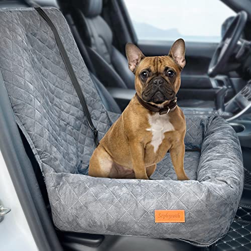 18 Most Essential Dog Car Travel Accessories You Must Have