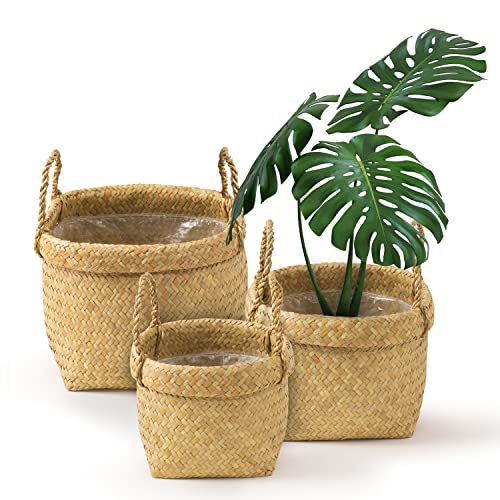 Gaiamade Set Of 3 Seagrass Plant Basket, Plant Basket, Wicker Planter Basket With Liner, Seagrass Planter For Tree Pot, Plant Baskets Indoor For Natural Style, Basket Planters For Indoor Plants. #TOP2
