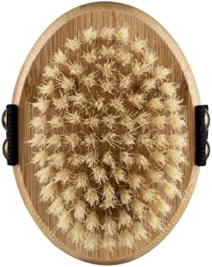 Dog Brush Safety Tips to Avoid Skin Irritation and Cuts - Dog Coat Brush For Smooth Coat