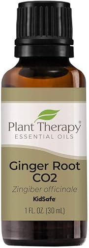 Plant Therapy Aceite esencial de CO2 de raíz de jengibre 100% puro, sin diluir, aromaterapia natural, grado terapéutico, 1.0 fl oz (1 oz)