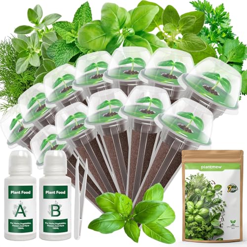 12 Pods Herbs Green Seed Pod Kit for AeroGarden Ahopegarden Hydroponics Growing System 1000+ Seeds of Basil Parsley Thyme Mint Cilantro Dill Oregano