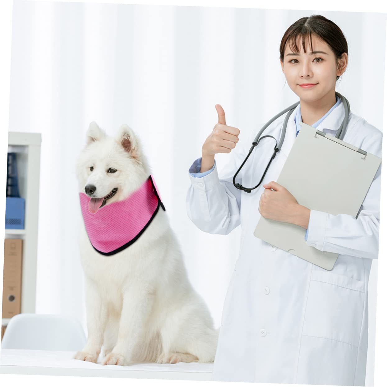 Angoily 6stücke Hundekühlhandtuch Kühlendes Halstuch Für Hunde Atmungsaktive Sommerbandanas Für Heiße Tage Beim Spaziergang Oder Sport