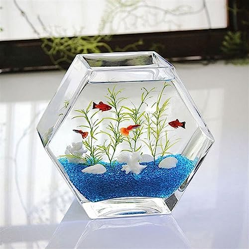Aquarium hexagonal transparent pour petit espace sans encombrement