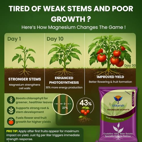 Image of Utkarsh Epsom Salt - Magnesium Sulphate for Plants Growth and Home Garden | 100% Water Soluble Fertilizer | Enhances Photosynthesis & Nutrient Uptake (900 gm; Pack of 1)
