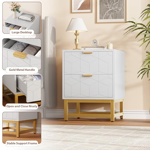 GAOMON White 2 Drawer Dresser, Small Dresser&Chest of Drawers, Modern Nightstand for Bedroom, End Table with Drawer for Living Room, Hallway, Entryway