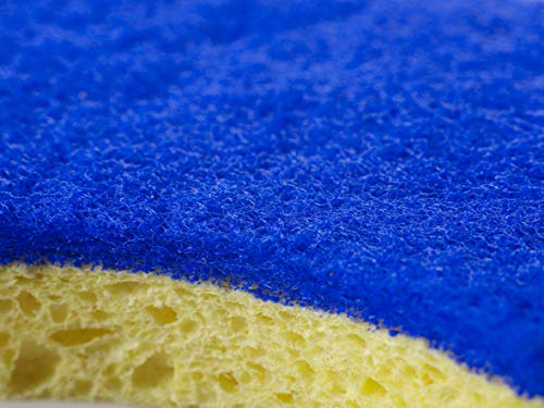 Spontex 19321008 - Spugne per i piatti, 2 pz