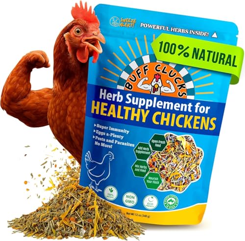 Buff Clucks Herb Supplement for Backyard Chickens - Natural Chicken Treats, Poultry Feed Botanical Mix, Plant-Based Coop Snacks for Daily Wellness, Feather Quality, Egg Production, USA (12 oz)