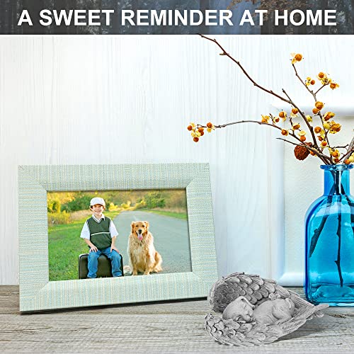 Holres Pietra commemorativa per Animali Domestici