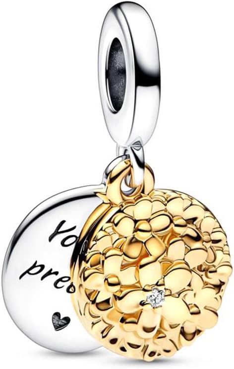 9 Pack Silver Bead Charms for Bracelets and Necklaces Charm for Woman Cubic Zirconias Dangle Pendant Jewelry Beads Set - Image 4