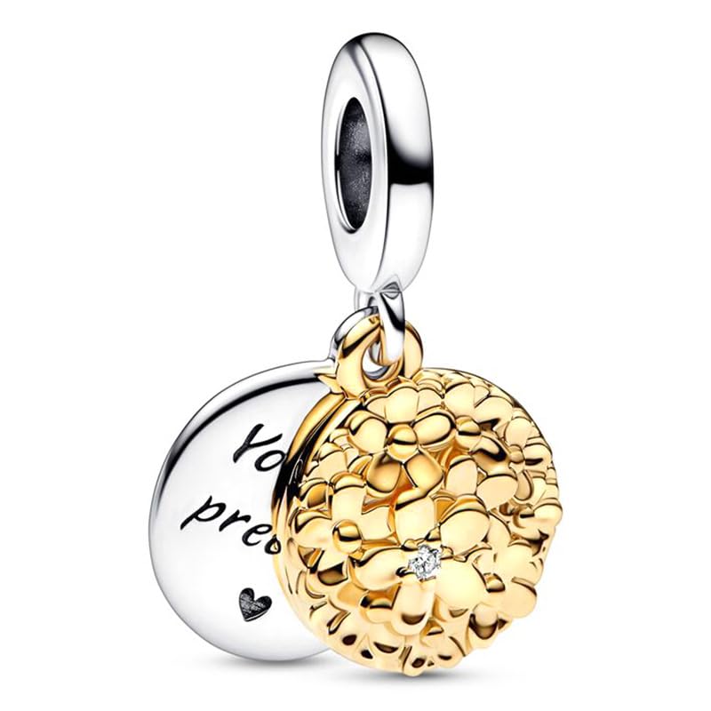 9 Pack Silver Bead Charms for Bracelets and Necklaces Charm for Woman Cubic Zirconias Dangle Pendant Jewelry Beads Set4