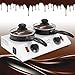 WICHEMI Chocolate Melting Pot Chocolate Warmer Chocolate Melter Chocolate Tempering Machine Pot for Home, Commercial Electric Melting for Chocolate, Butter, Cheese, Cream, Candy, Milk (Double Pots)