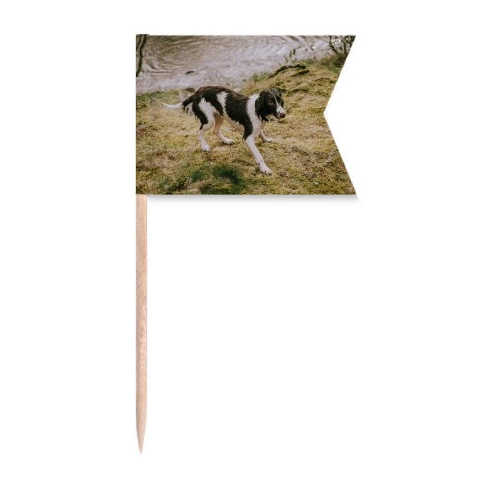 Chien Noir photo gâteau de fête DIYlab pour vos repas en famille