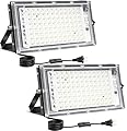 100W LED Outdoor Flood Light, 2 Pack 8000LM Plug in Flood Light Outdoor, IP66 Waterproof Exterior Security Lights, 6500K Daylight White Super Bright Floodlight for Garage, Yard, Lawn, Garden
